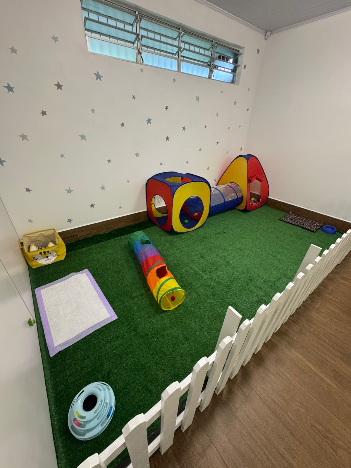 WhatsApp Image 2026-02-18 at 17.23.42